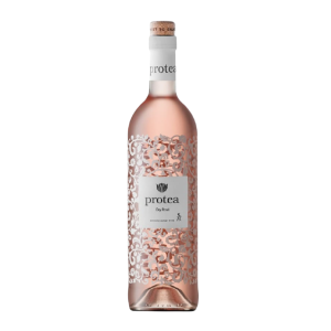 Protea - Dry Rose